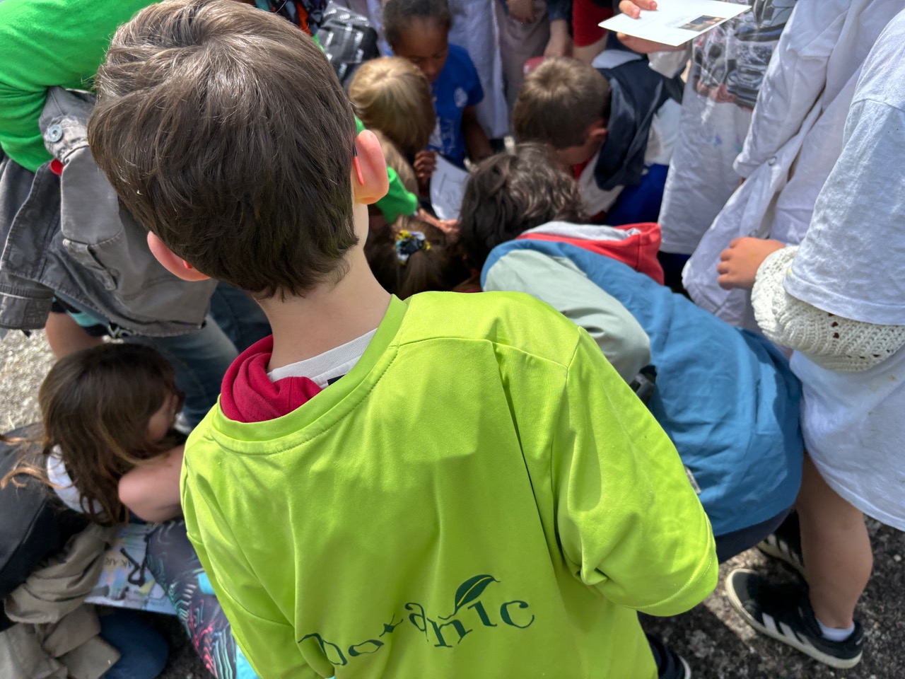 invitation artistique evenements dans les ecoles